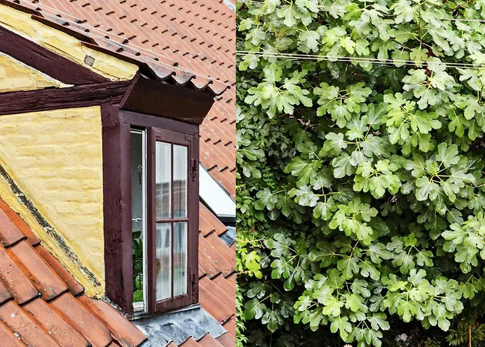 아파트 Luxury 260 Sqm With 4br Overlooking Kings Garden