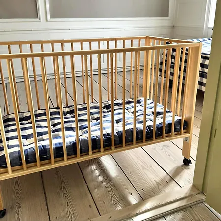Apartment Luxury 'kings Garden View' 260m2 Prime Located Flat Copenhagen