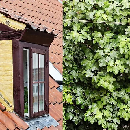 Appartamento Luxury 260 Sqm With 4br Overlooking Kings Garden *